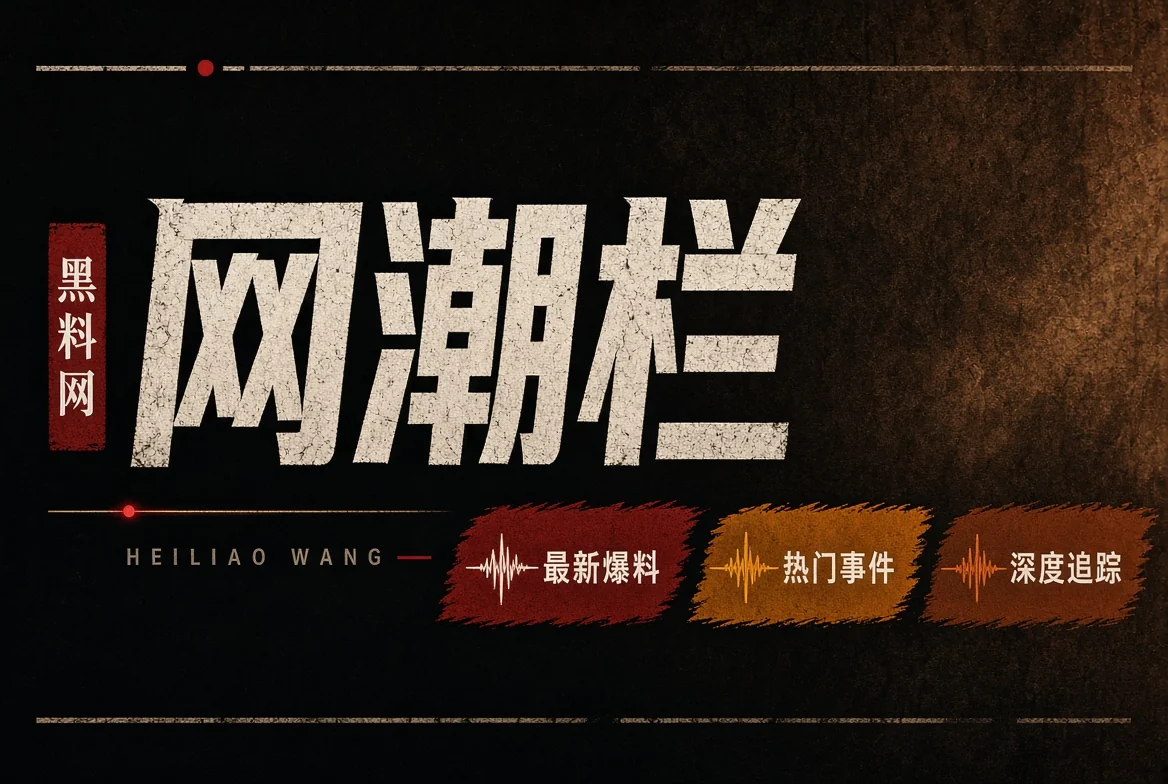 网潮栏配图